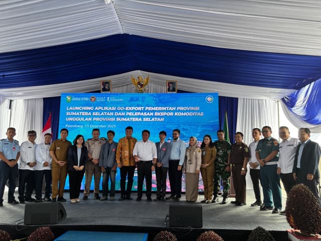 Pemerintah Provinsi Sumatera Selatan